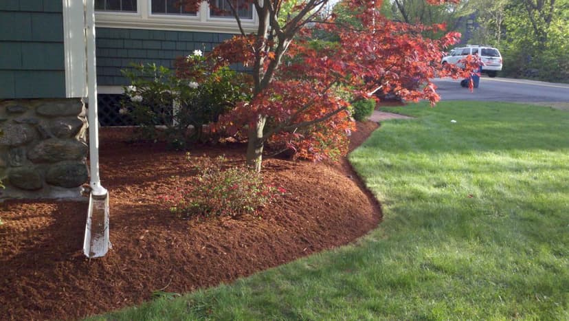 Eco-Friendly Landscaping Techniques's image