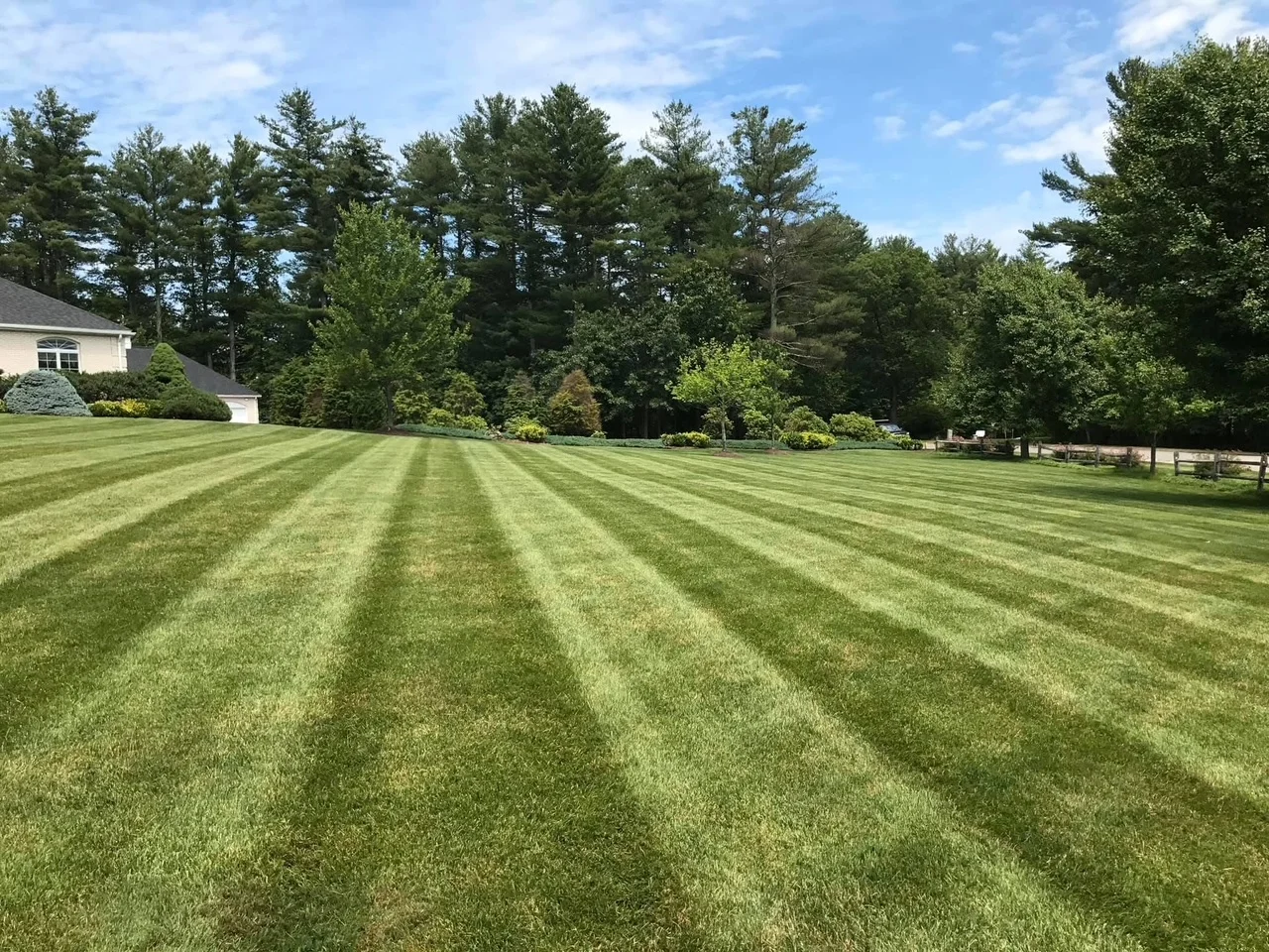 Professional lawn aeration and maintenance service