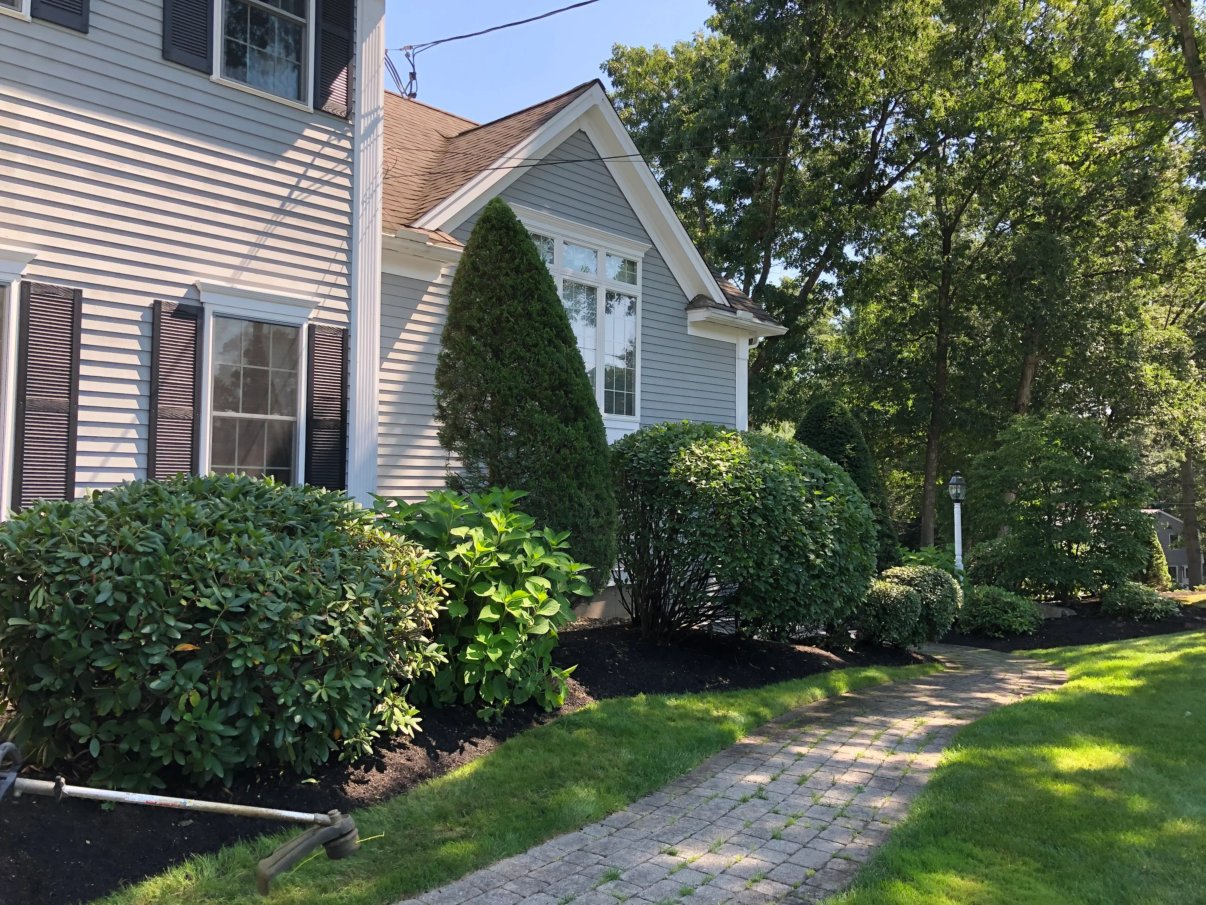 Foundation planting with evergreen shrubs, junipers, and boxwoods around residential home exterior
