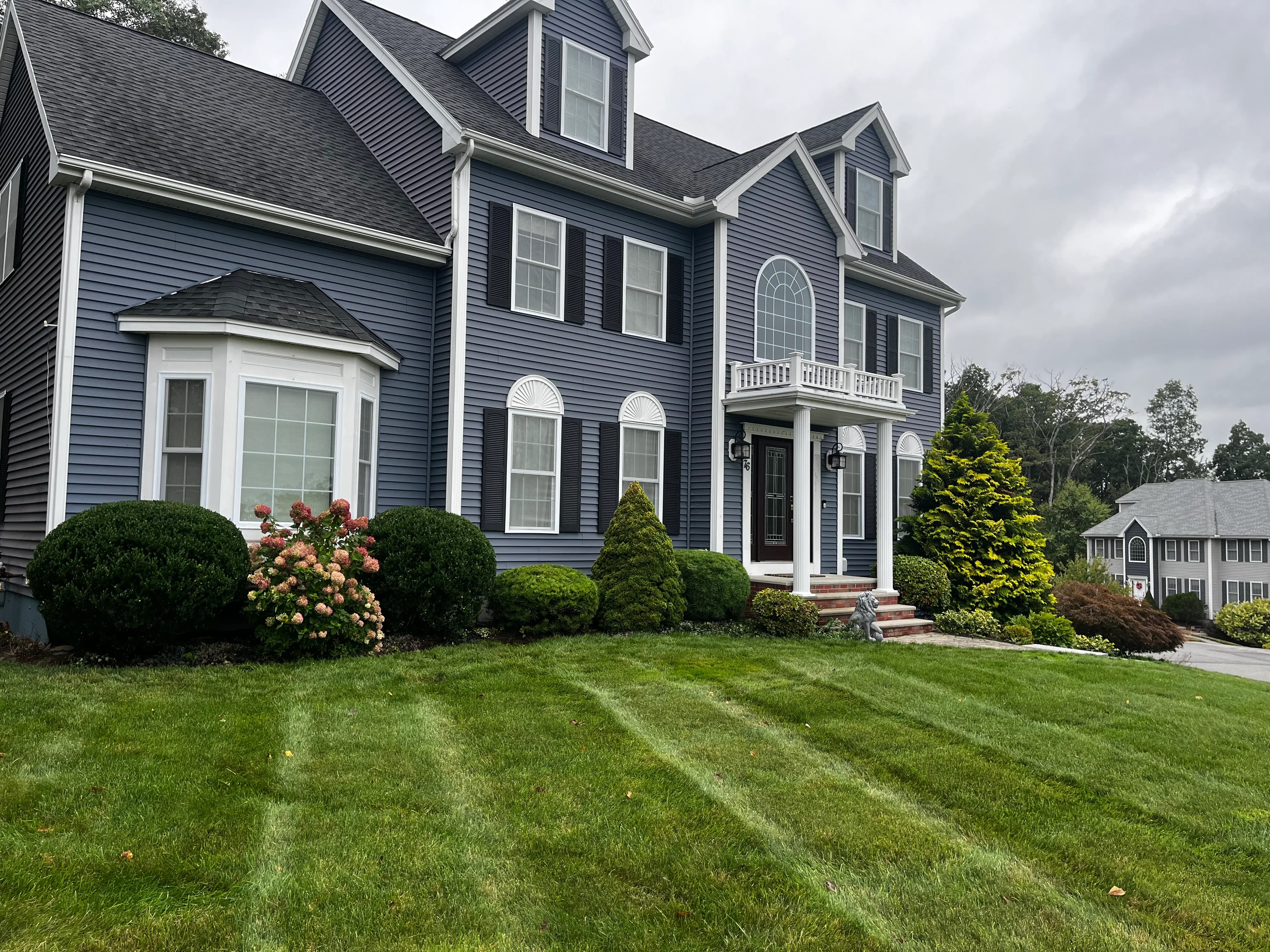 Blue colonial home with manicured lawn, boxwood shrubs, hydrangeas, and ornamental evergreens in front planting beds