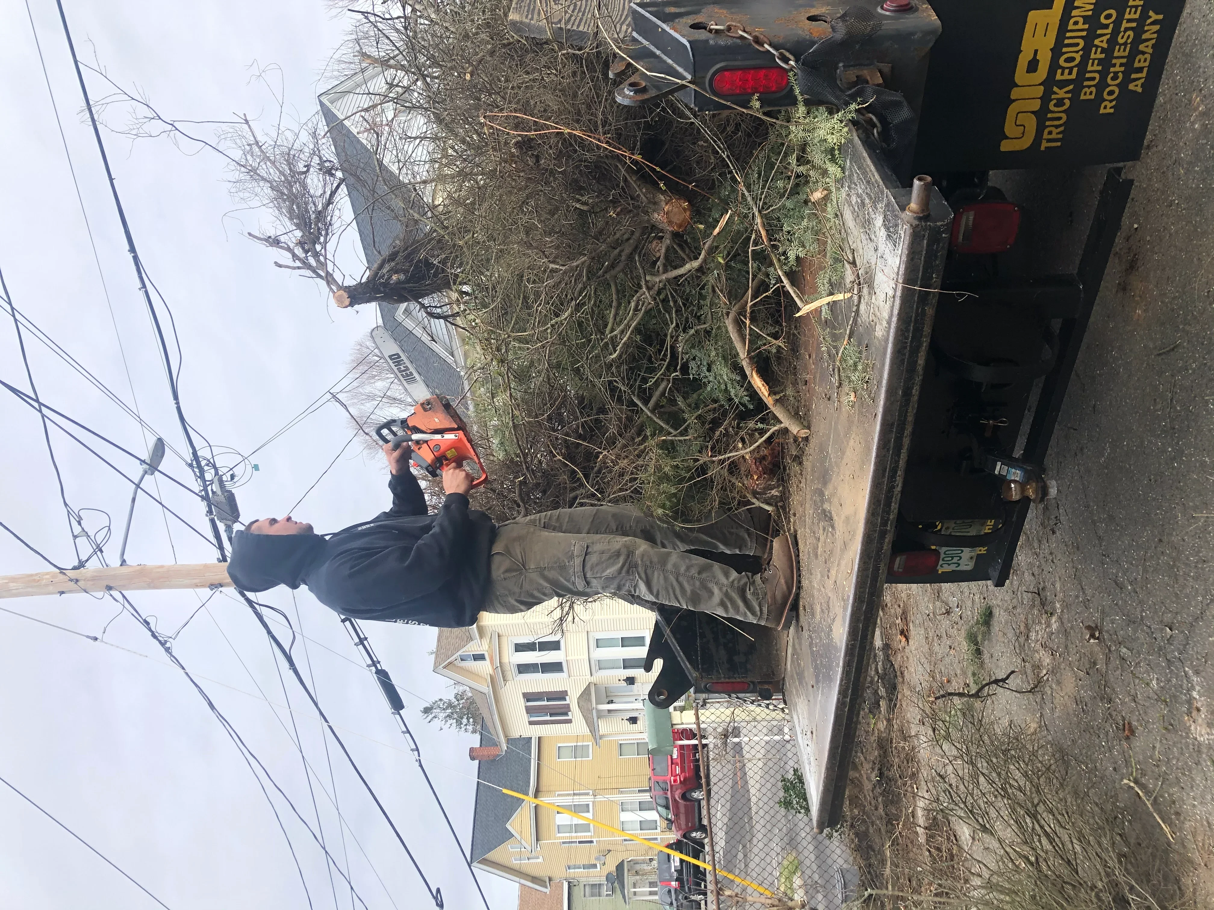 Chainsaw operator removing large dead tree with truck-mounted equipment for debris removal