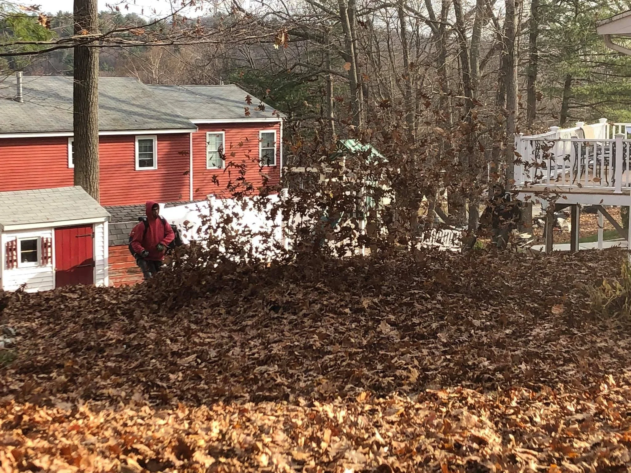 Cleared residential yard with leaf debris removal around red cottage and white deck