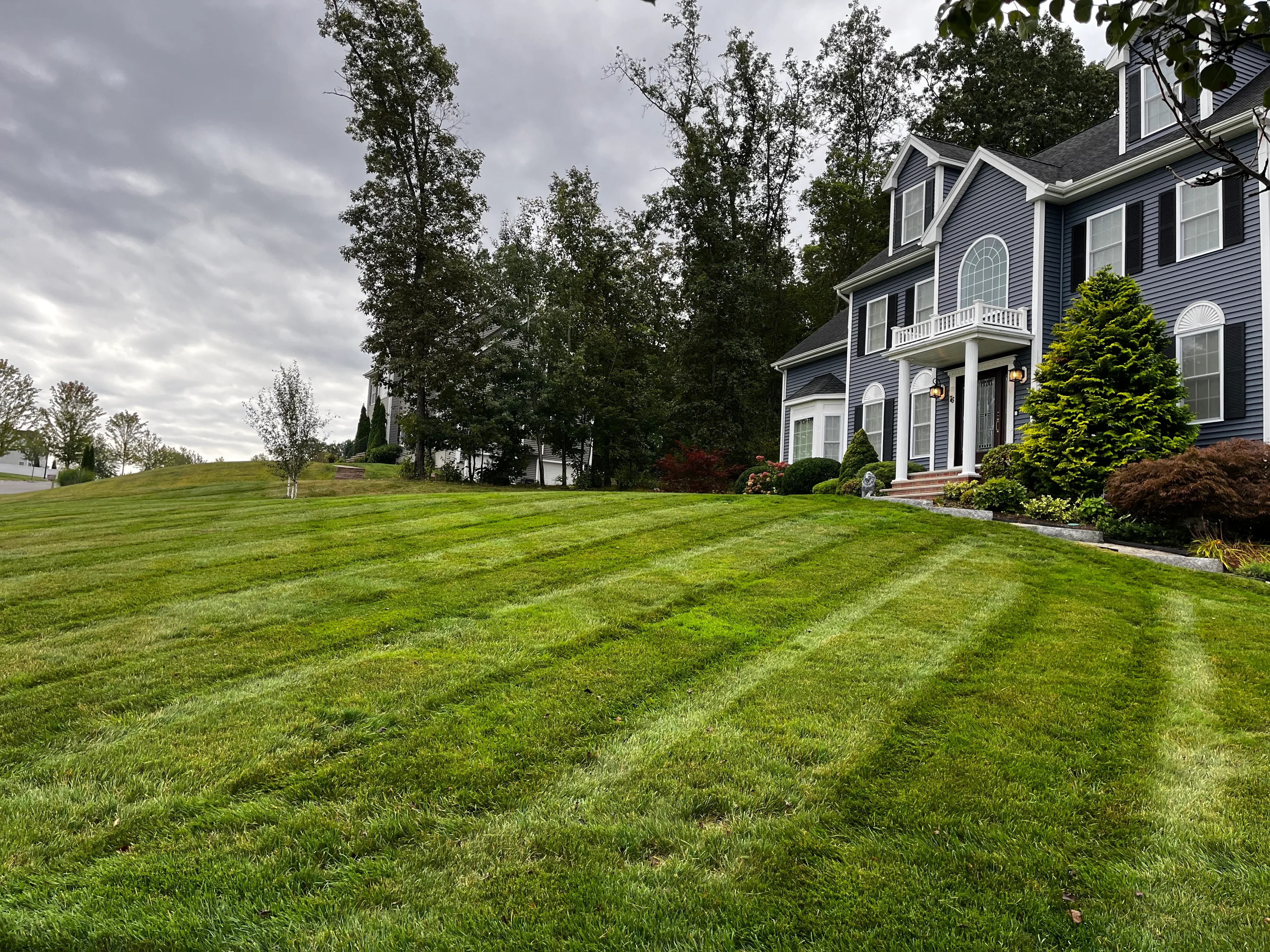 Striped lawn with mature trees, ornamental shrubs, and landscape beds bordering residential home