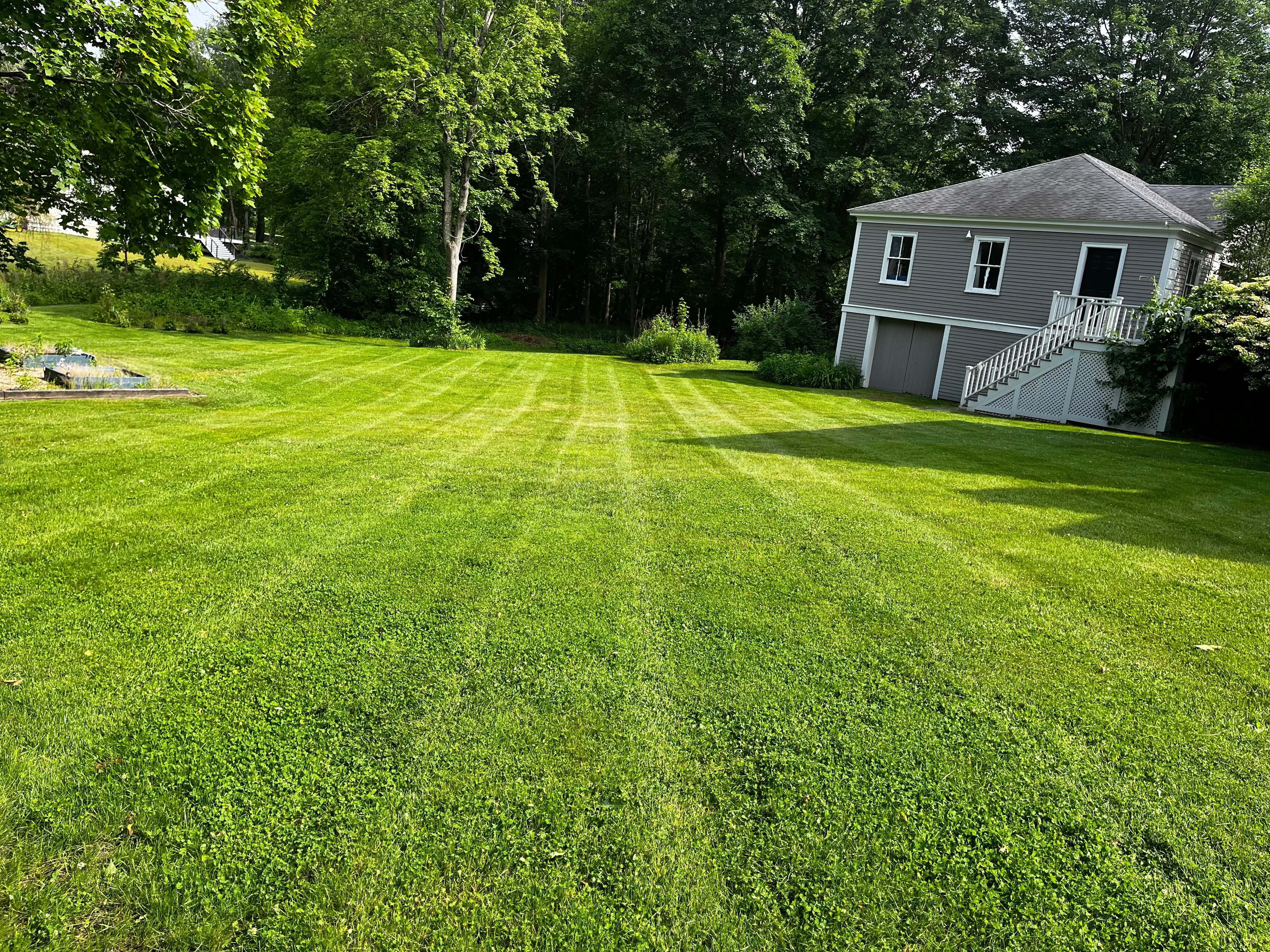 Striped residential lawn with healthy green turf and mature trees bordering property