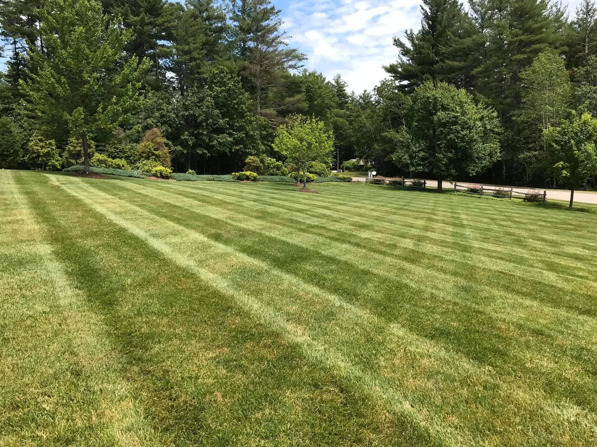 Striped lawn maintenance on large residential property with mature trees and shrub borders
