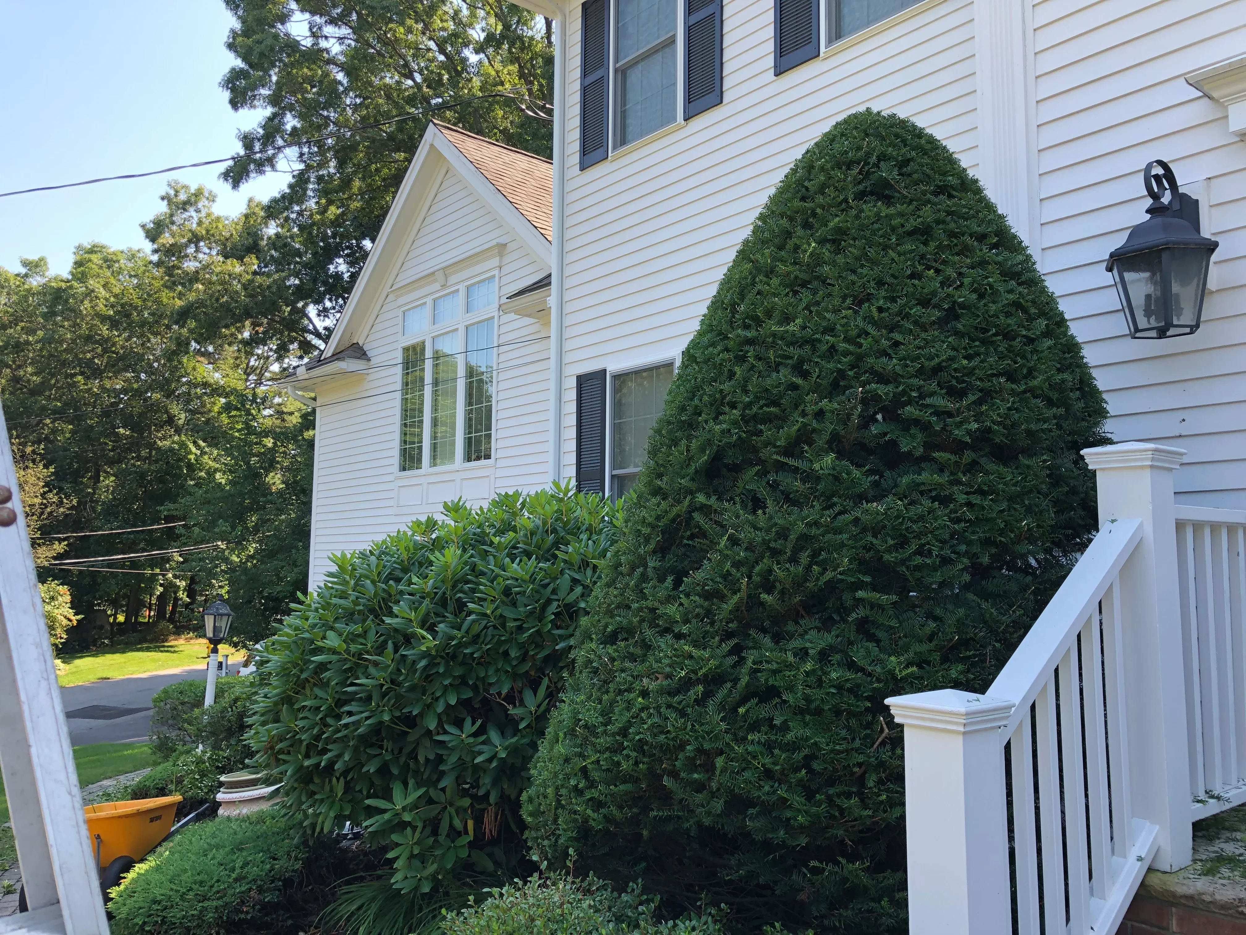 White colonial home with shaped evergreen topiaries, layered shrub plantings, and manicured hedges