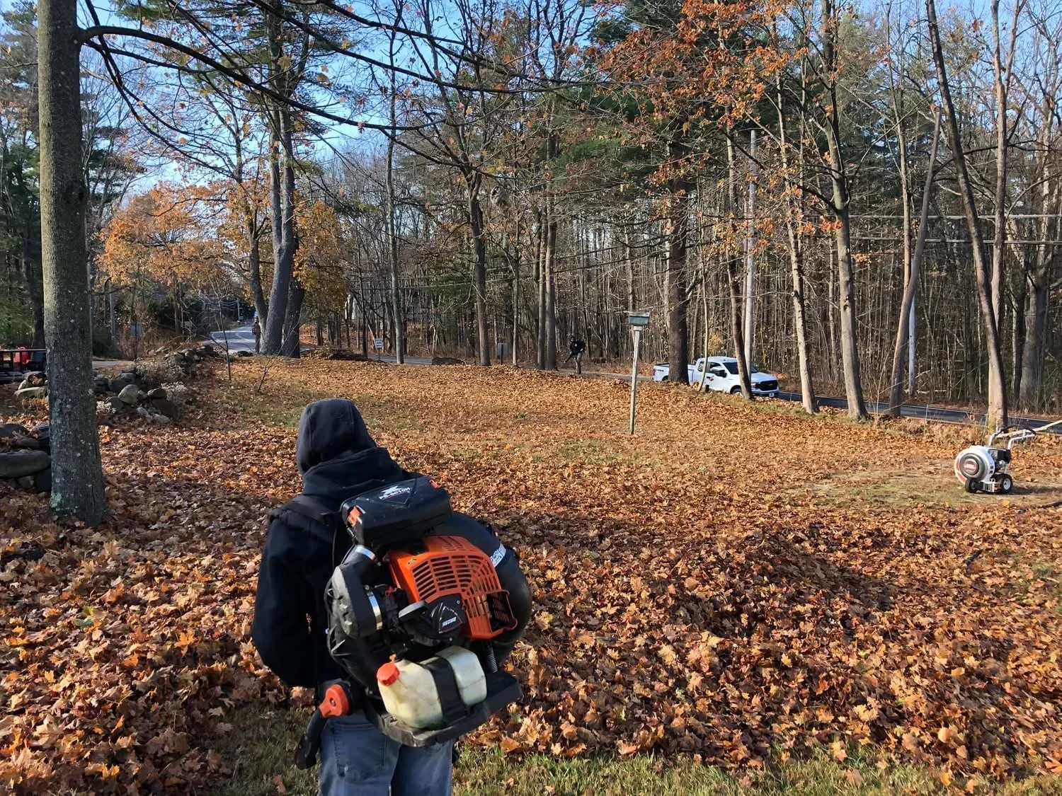 Worker with backpack blower clearing fallen leaves from wooded yard with mature trees