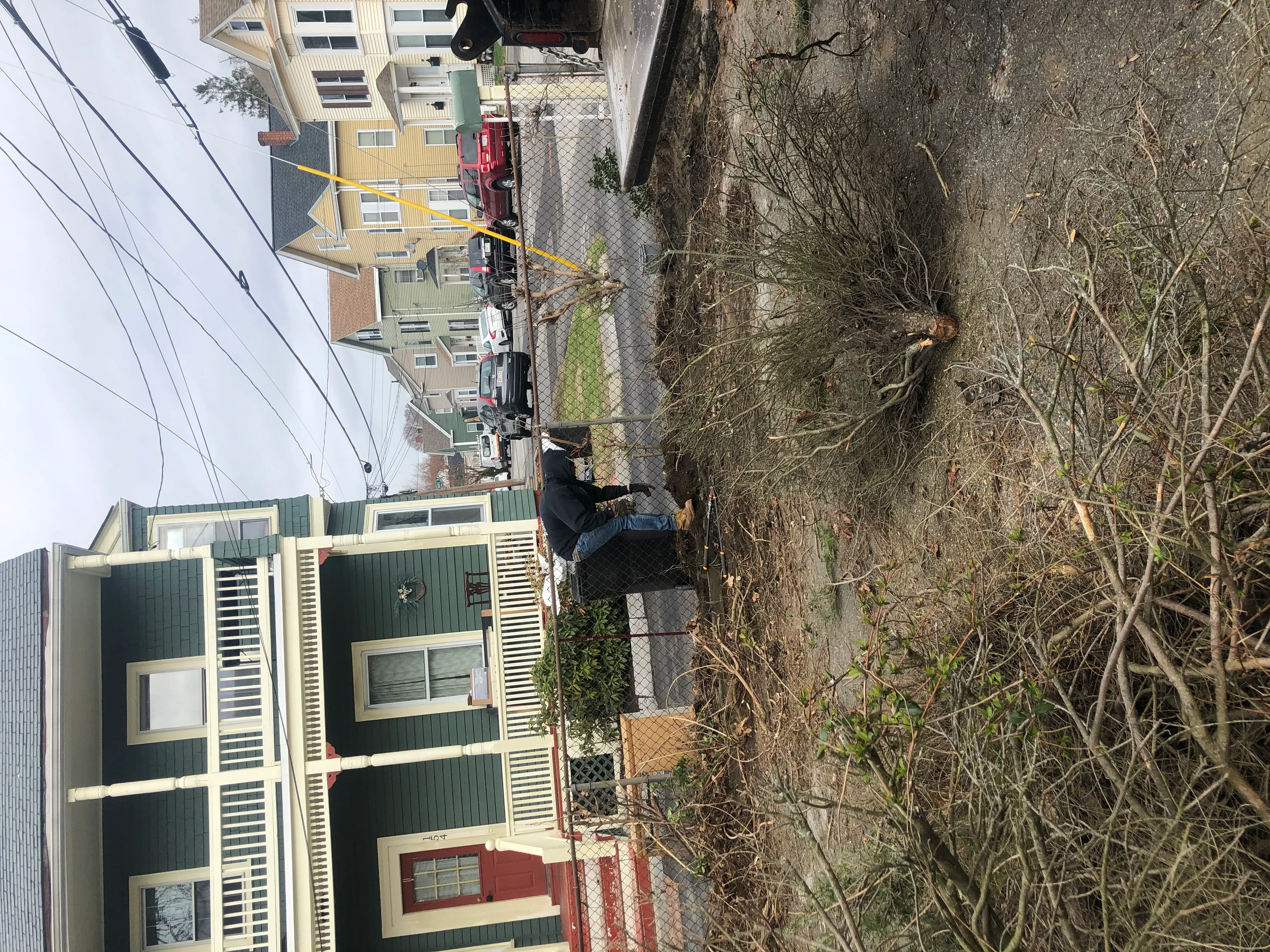 Cleared residential side yard with removed overgrown vegetation and exposed fence line