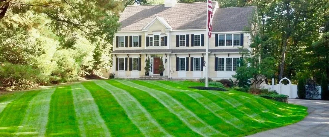 Striped lawn mowing pattern on residential front yard with colonial home and mature landscaping