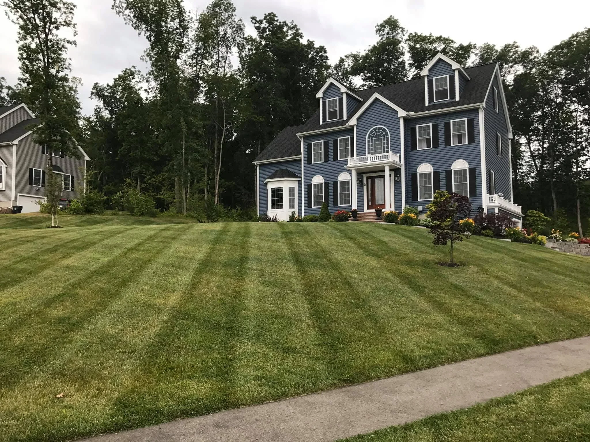 Striped lawn with foundation plantings, shrubs, and ornamental trees around colonial home