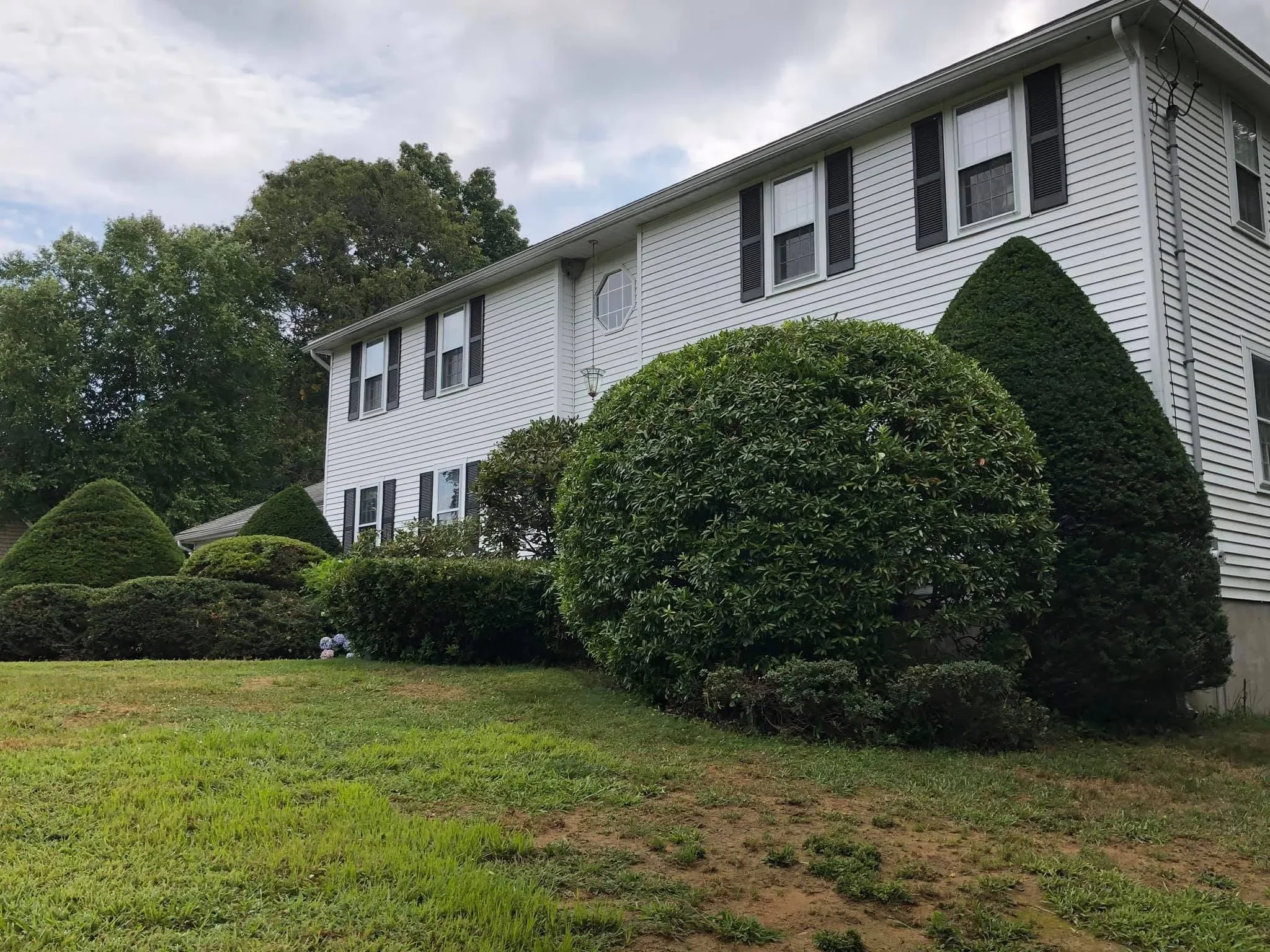 White colonial home with shaped evergreen shrubs, boxwoods, and newly seeded lawn