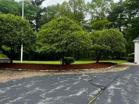 Mulched landscape bed with mature trees, fresh sod lawn, and defined edging along driveway