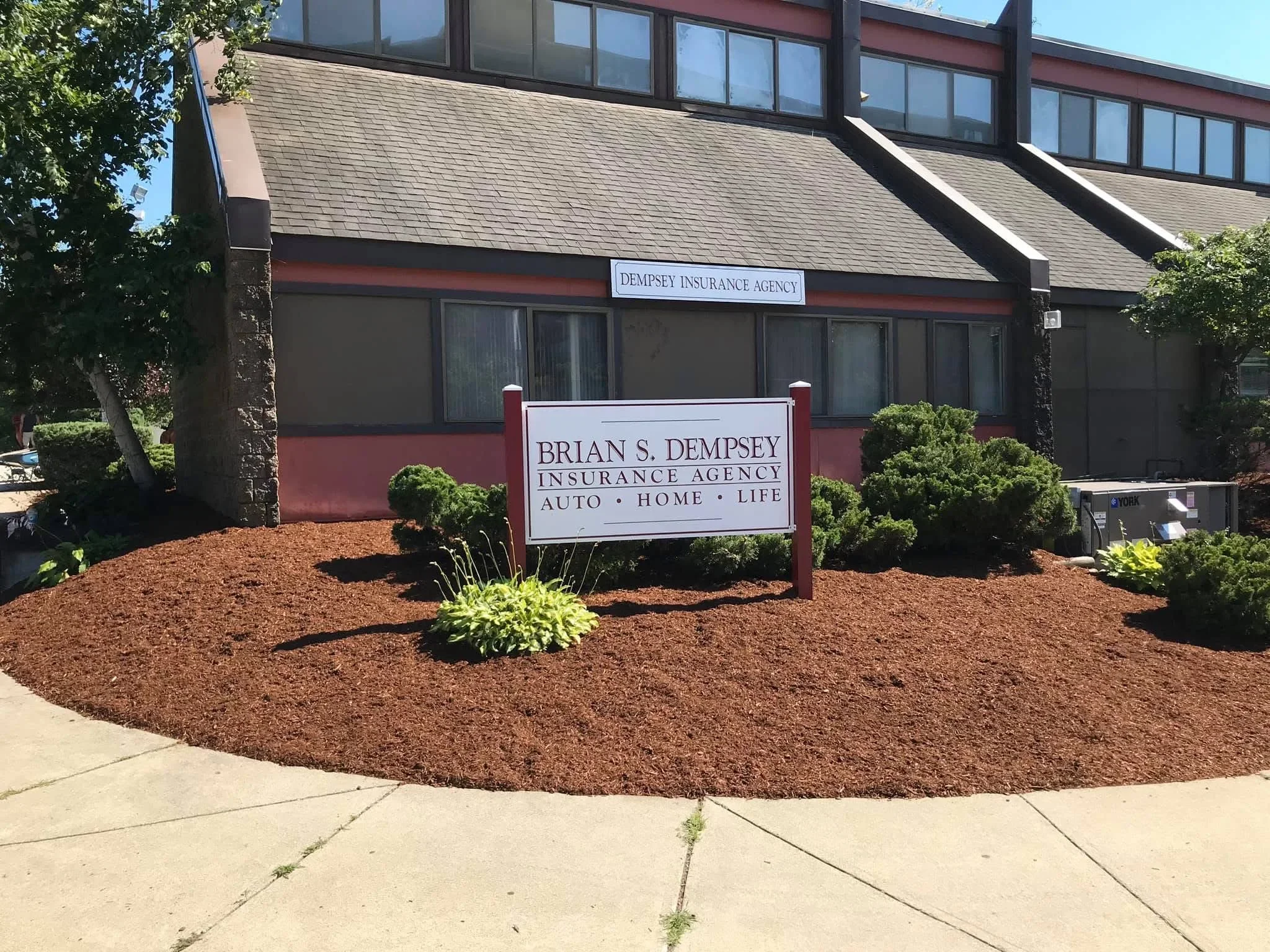 Commercial landscape bed with fresh mulch, evergreen shrubs, and ornamental grasses around storefront