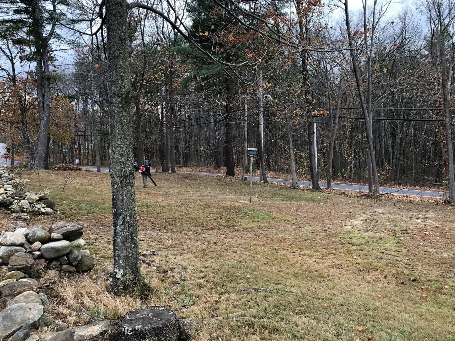 Cleared wooded lot with mature trees, graded lawn, stone edging, and metal fencing