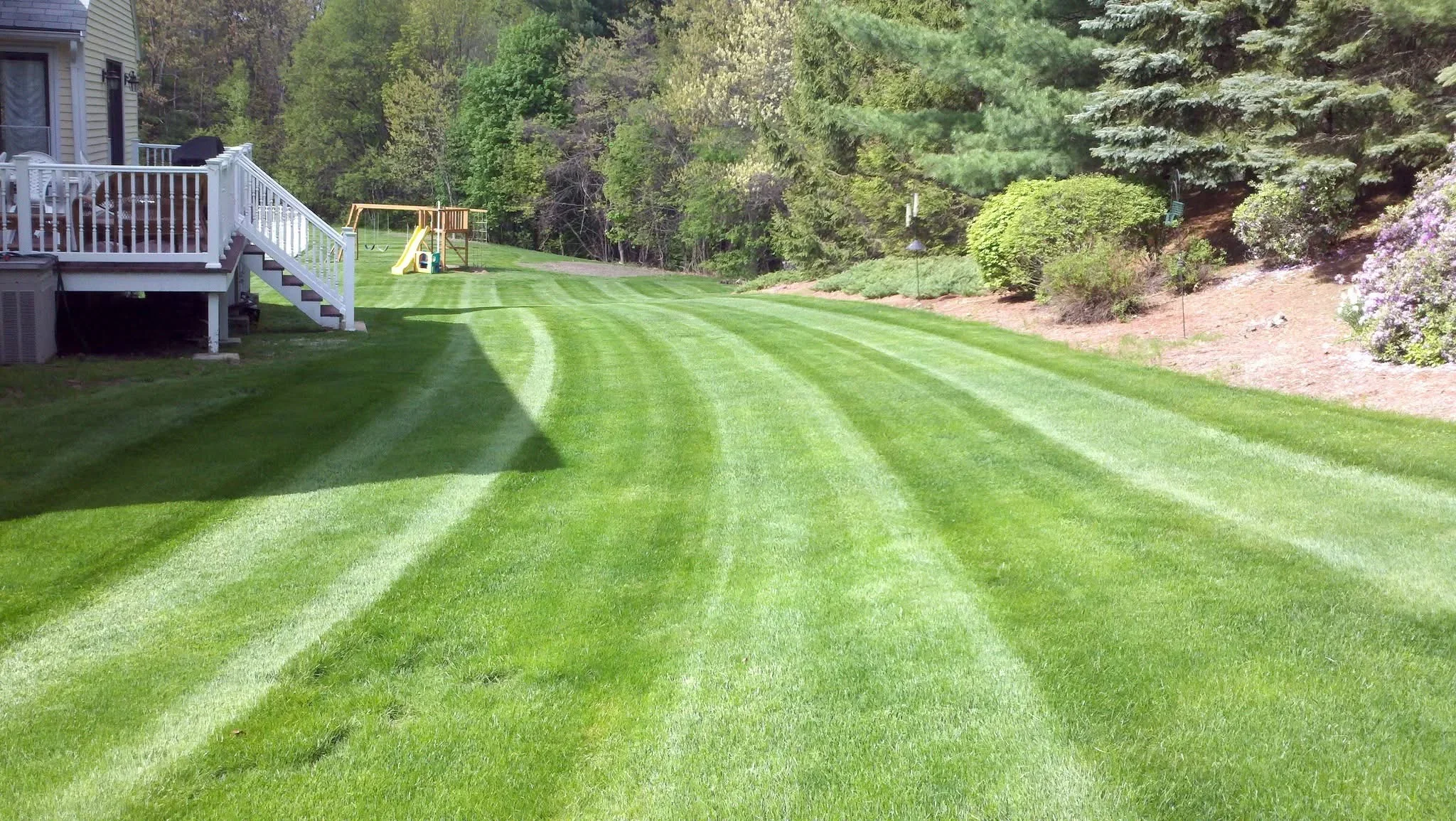 Striped lawn mowing pattern on residential property with mature trees and landscaping