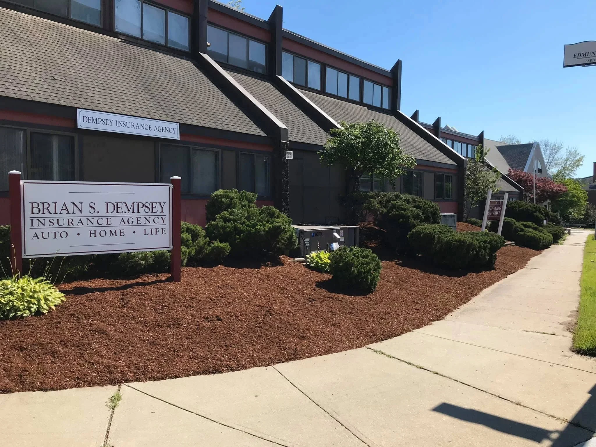 Commercial landscape bed with mulch, evergreen shrubs, and mature plantings at office building entrance