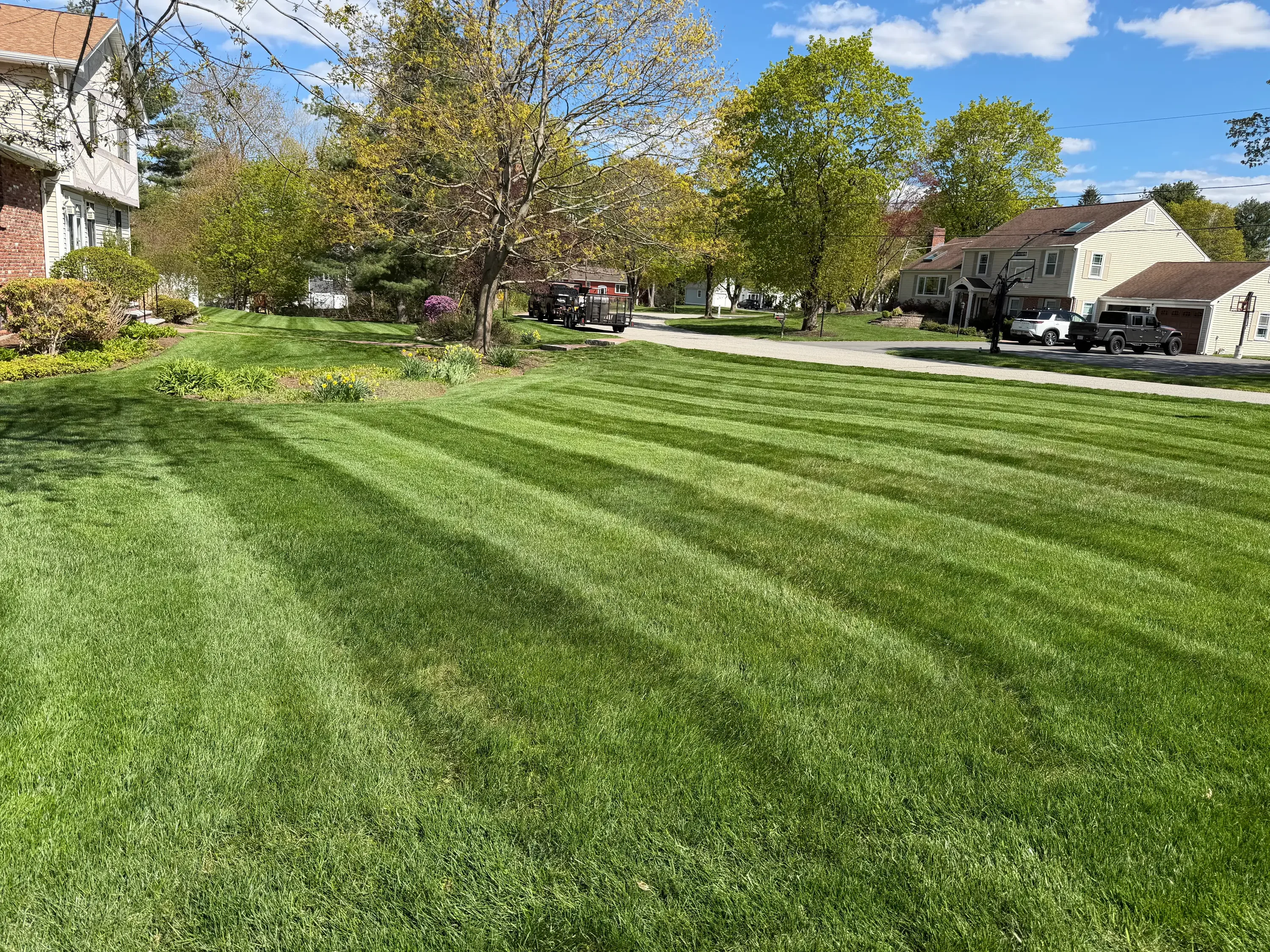 Striped lawn mowing pattern on residential property with mature trees and healthy turf
