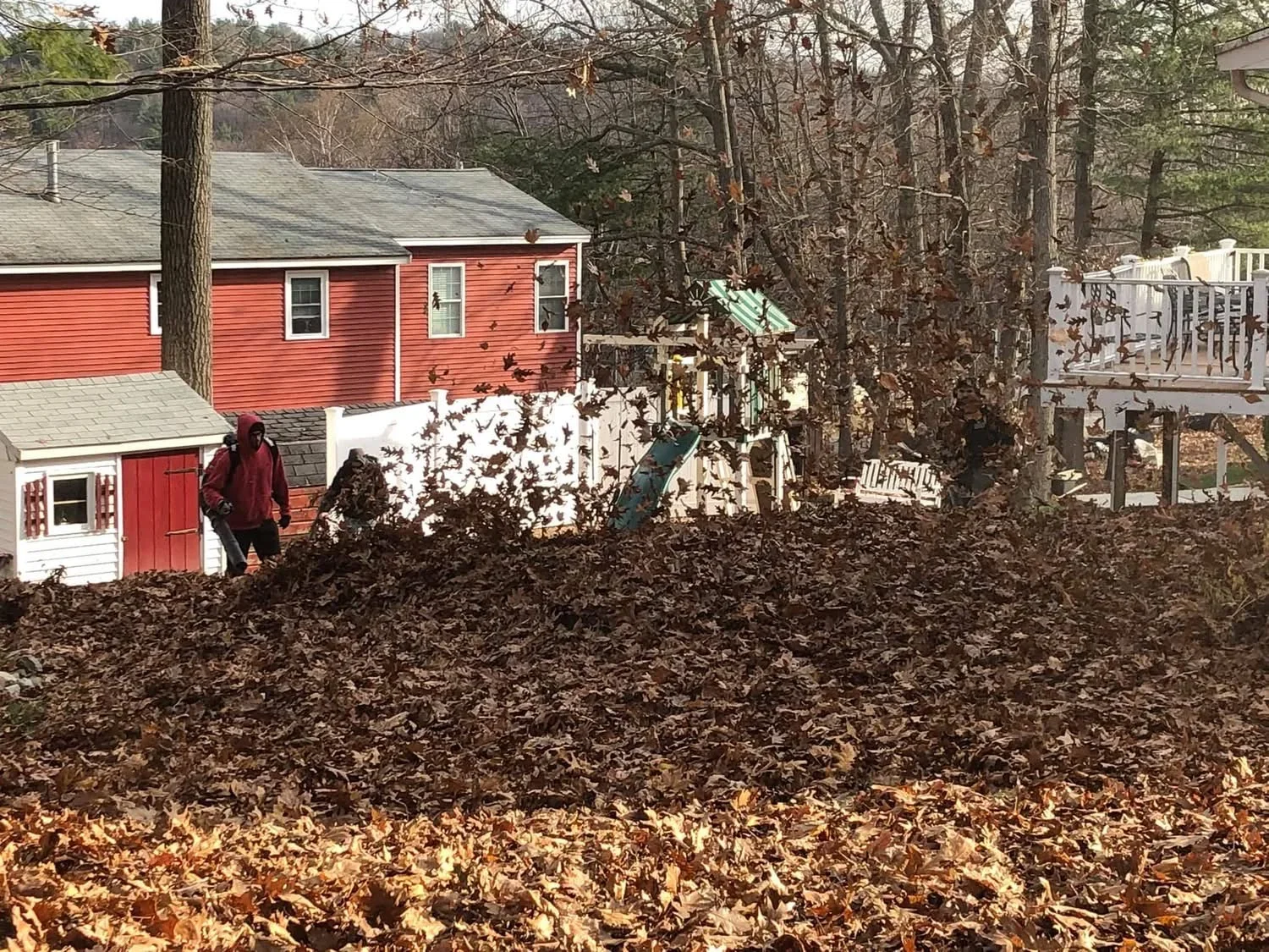 Cleared residential yard with graded soil, mature trees, and red cottage home in background